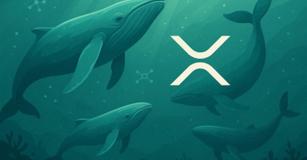 XRP News Today: Ripple Price Prediction & Latest Updates From Viral Altcoin Remittix