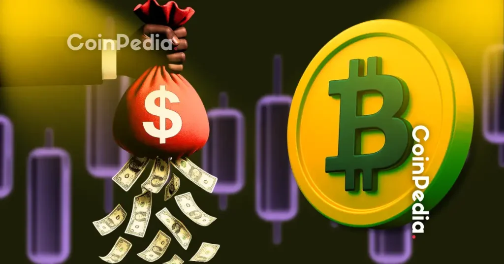 Asset Manager in South Africa Warns Against Crypto ETF, Here’s Why