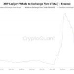 While Ethereum whales rotate, XRP data shows a fatal concentration flaw that leaves one group holding the bag.