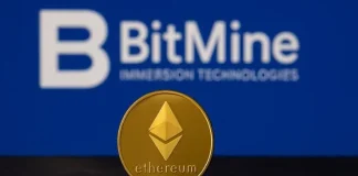 Bitmine BMNR Stock: $25 Bull Case vs $11 Bear Case
